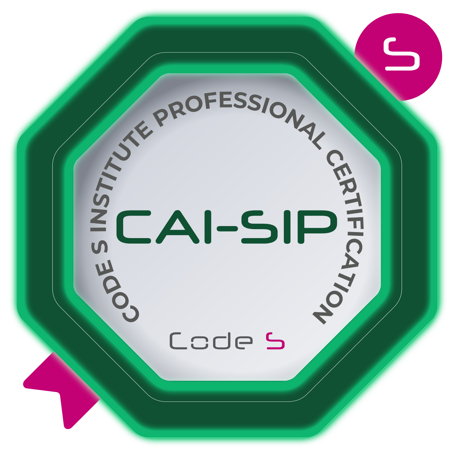 Certified AI Camel Surgical & Intervention Planner (CAI-SIP)